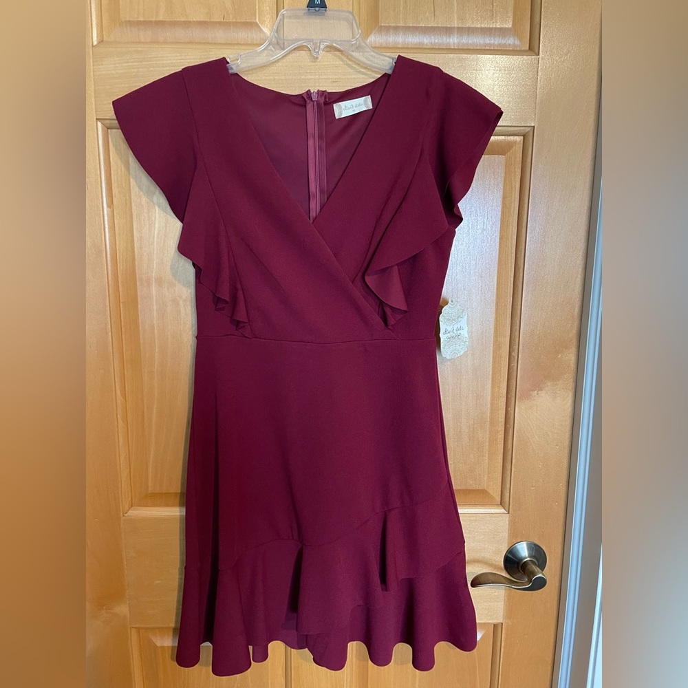 NWT Short Sleeve Altar’d State Dress